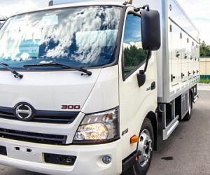 Hino     
