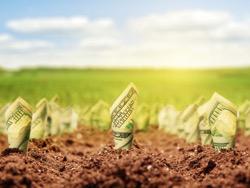 �� ���� � ����������: ��������� ���� ����� ������� ���� �� ���������� �������