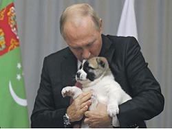 ������������� ������������� ����� ���� �� ������ ��������