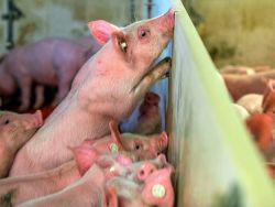 ������ ��������� ������� ������ ������