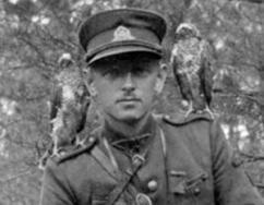 ������ � ������ ��� ���������� ��������� ������������ ���