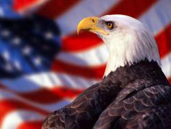 ����������� ����� �� �����: �������� ������ �������� �� ���