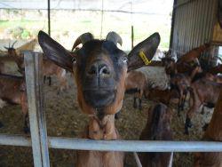 ̸����� ���� ����� ��������������� ������������ ������ �����?