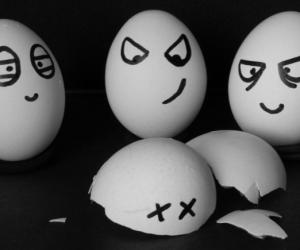 ����, �����, ����� � ������ �������������