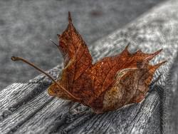 ��� ����� ������: ������� � ����� � ���� ������