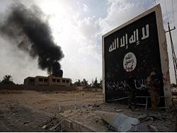 ����� ��������: ������������� ��* ����������� � �������� ������� ����