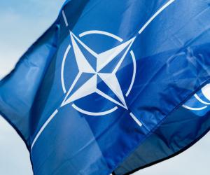 ���� �������� ������� ��� ����� ������� � ������