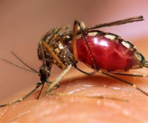 ������� ��������������