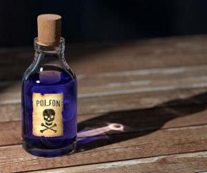 ��� ����������� ������ � ���������