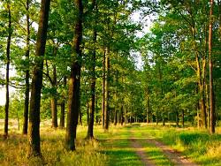 �������. ���������� ����� �������� �������� ��������