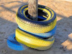 ���� ����� ������� ���������� ���������� ����