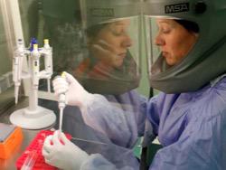 �����-���� ������ ������: ��������� ����������� ���������� ��� ������������ �����