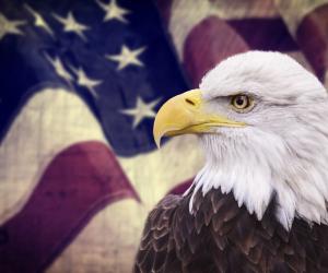 ����� ������ �������� ���, ��� �� ������� ����������� ����� �������