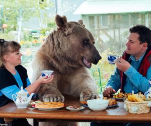 ������ �� ����� ������ � ������� �����