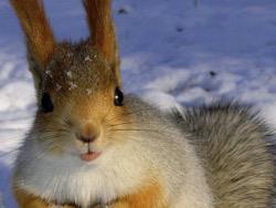 �� ������� � �����