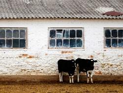 C��������������: ��������� ��������� ������