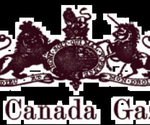 ������ ������ ���������� ���������: ������� ������� � �������� ���������� ������ �������