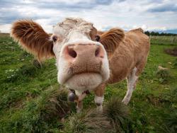 ������ ������ �� ���������� � GPS-��������