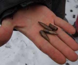 ������: ����� � ������� ������� ���������������