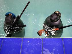 ������� ������� ������ �������� ������