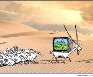 � �������� �������� � ����� ������