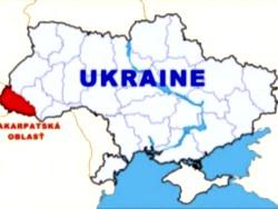 ���� �����: ������� ������ ����������