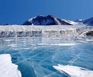 �������� �������� ���� ���