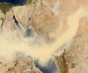 ������: �������� ��������������� �������� �����-2018 ������ �����������