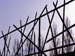 ������� ���������� ���������: ������ ������ ������� ����� ���������