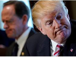 ����� ������� ������ � �������� ����� � ���