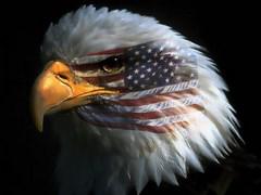 ���������-�����������: ���� ������ � ��� ����� �������