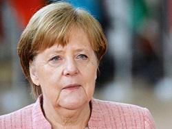       G8