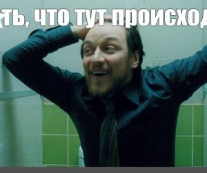   :       2019 