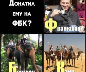  :  ,  