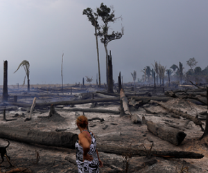 Рекордные лесные пожары произошли в Амазонии