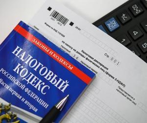 Раскрыта самая популярная схема ухода от уплаты налогов в России