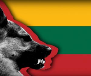 Литва решилась на невиданно резкий выпад против Москвы