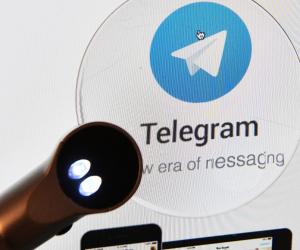  Telegram  :    Max