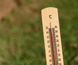   :      +41C  
