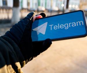       Telegram  WhatsApp*:    