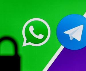     WhatsApp  Telegram*:      100  
