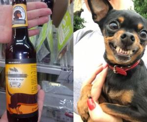 ������� ����: ���������� �������� ��� ������� ������? ��������� ���������� ������