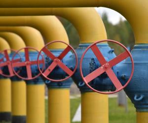 �� ����� ����� ���������� ������������� ����: ������ ��������� ��������