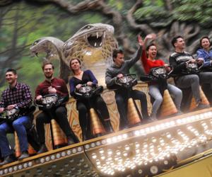 ������ ����� ����������: ������ ������� ����� �������� �������� ����� Universal � Disney � �������