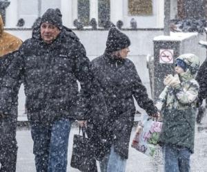 ����������� ������������ ����: ������������� ������������� ����������� ����� ��������� ������ ���