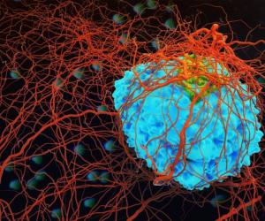 ����� ������� ����: ���� ������������ ��������� ���������, ������� ������ ������������