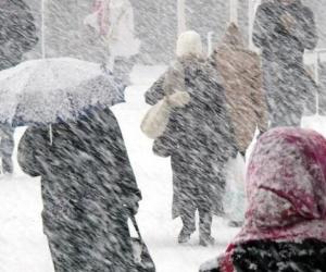 ��������� ���� �����������: ���� ����� ��������� �� ���������� ������� 2025-2026