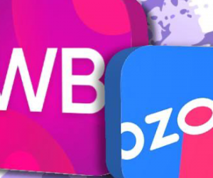 Мошенники атакуют покупателей Wildberries и Ozon: ЦБ предупреждает об опасности