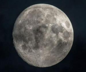   Starlink:        