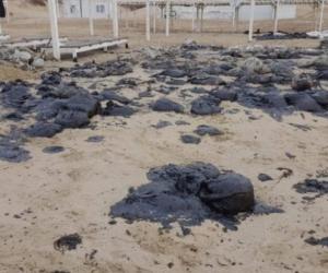 Новая катастрофа. На побережье Анапы движется 900 тонн мазута. Губернатор и глава МЧС срочно прибыли на м ...